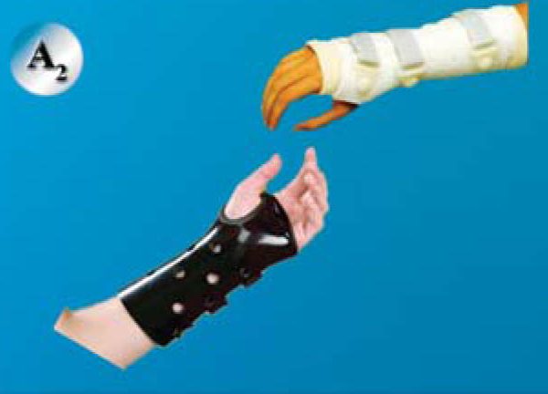 Rigid short Cockup: کوکاپ ترمو پلاستیکی کوتاه